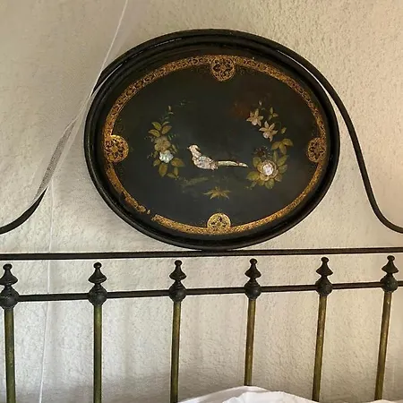 1800 Análipsis